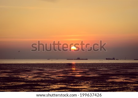Scenic view of beautiful sunset sea in summer with cargo ship gold	orange ,violet ,red ,cargo boat so far have seagull bird