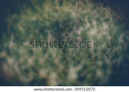 Point Round points small round blur ivory reliefs color background wall paper abstract defocuse.