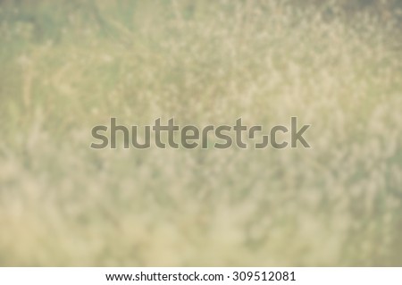 Point Round points small round blur ivory reliefs color background wall paper abstract defocuse.