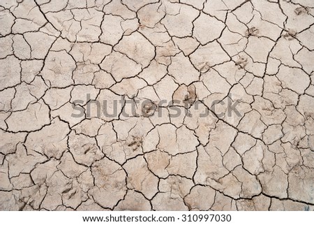 Dry cracked soil texture with animal footprints