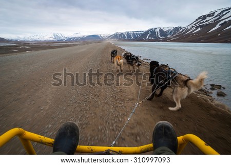 Dog sledding in summer in Svalbard, Arctic, first person perspective