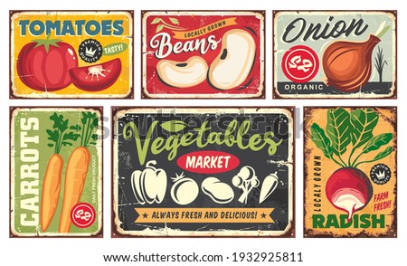 Signs and advertisement collection with farm fresh organic vegetables. Tomato, bean, onion,carrot, radish, pepper, potato, chili graphics and vectors. Natural healthy food market.
