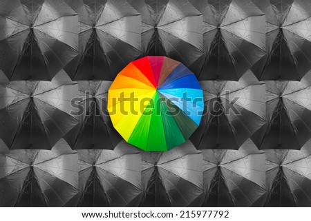 Concept of leader and different business with many blacks and a single colorful rainbow umbrella