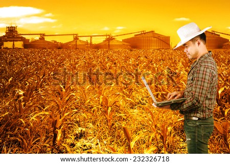 modern farmer checking his field corn and working on laptop computer against corn dryer silos in concept of industrial and agriculture against beautiful sunset