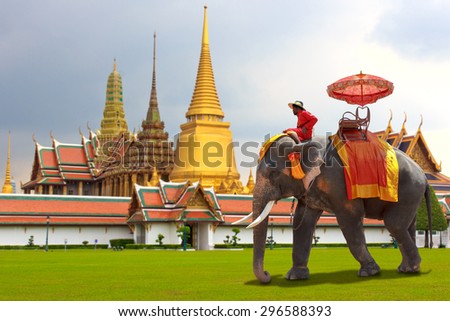 Elephant for Tourists on an ride tour of the grand architecture The Buddhist temple of Wat Phra Kaeo at the Grand Palace in Bangkok, Thailand.