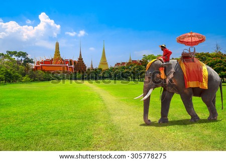Elephant for tourists on an ride tour at the Buddhist temple of Wat Phra Kaeo at the Grand Palace in Bangkok,Thailand