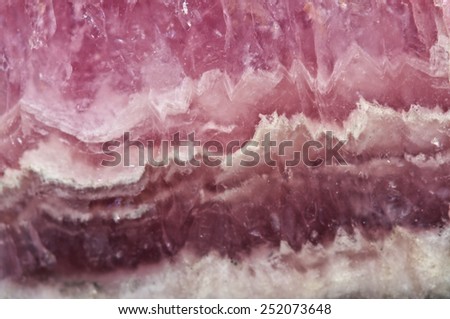Rhodochrosite MNCO3. Pink manganese carbonate mineral. Macro. Beautiful fantastic background  for successful business projects and other Your variant.