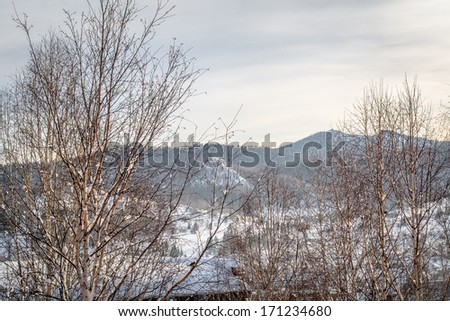Winter holiday house in mountains