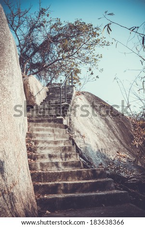 steps in the rocks and tree in retro style in brown colours