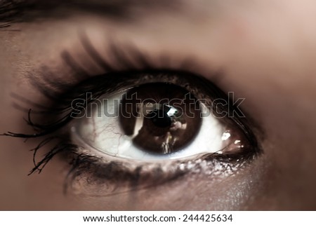 Woman brown eye with pastel color makeup and long eyelashes. Macro