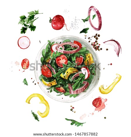 Fresh Salad, flying ingredients. Watercolor Illustration