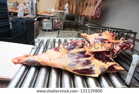 meat in conveyor of meat factory