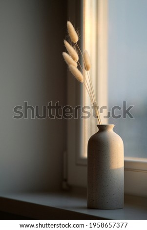 Similar – Image, Stock Photo Autumn mood | A leaf stands out in the warm sunlight
