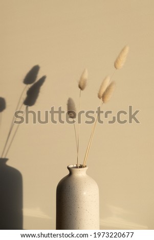 Similar – Image, Stock Photo Rabbit tail grass dry flower bouquet