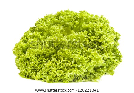Fresh green iceberg salad isolated on white background