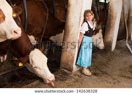 Little girl in a cow stable