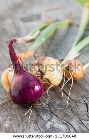 Red and white onions on a wooden background