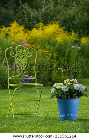 Garden chair with hydrangea in a garden
