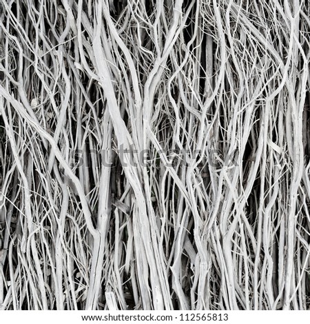 Dried twigs and branches striped wood texture pattern background wallpaper