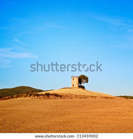 Tuscany, Maremma typical countryside sunset landscape with hill, tree and rural tower.