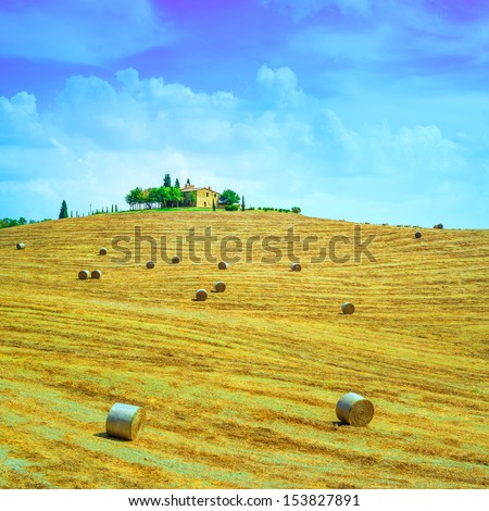 Tuscany, farmland country landscape, on hill top, hay rolls and harvested green fields. Val d Orcia, Italy, Europe.