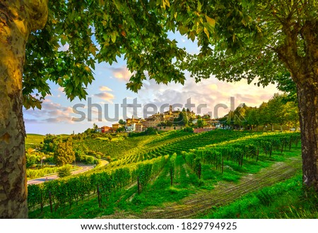 Neive village, Langhe vineyards and trees as a frame. Unesco Site, Piedmont, Northern Italy Europe.