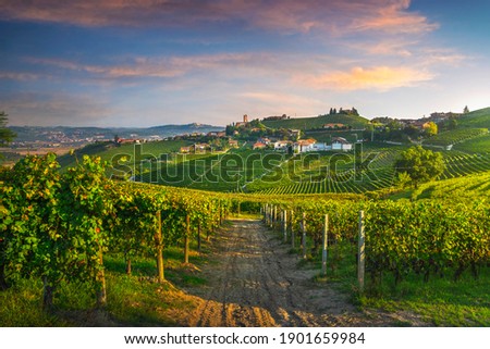 Barbaresco village and Langhe vineyards, Unesco Site, Piedmont, Northern Italy Europe.