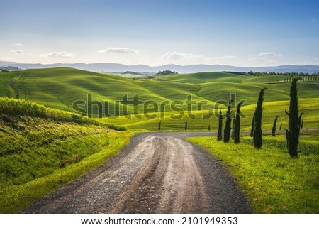 Monteroni d'Arbia, route of the via francigena. Winding road, Fields and trees. Siena province, Tuscany. Italy, Europe. Imagine de stoc © 