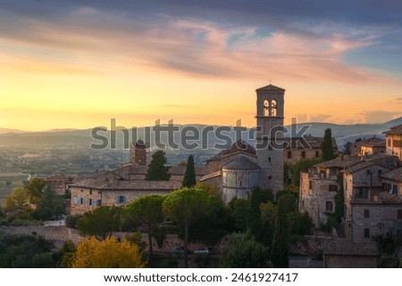 Similar – Image, Stock Photo Olive grove with ancient gnarled olive trees in Mallorca