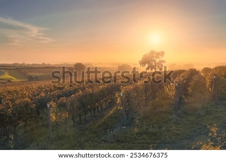 Similar – Image, Stock Photo Vineyards vineyards Nature