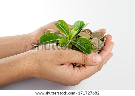 Pile of money (indian coin ) in hand with plant isolated on white background