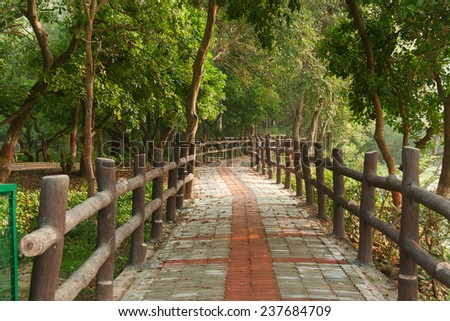 Pathway bridge in forest with wooden side rails inside bird bird sanctuaries