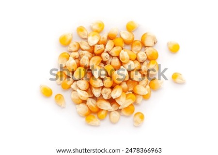 Image, Stock Photo Dried corn seeds at factory