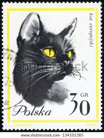 POLAND - CIRCA 1964: A post stamp printed in Poland shows head of black european cat with yellow eyes from cats in natural colors, black inscriptions series, Scott catalog 1216 A411 30g, circa 1964
