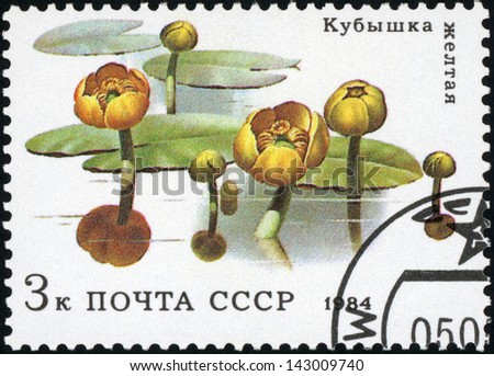 RUSSIA - CIRCA 1984: post stamp printed in USSR (CCCP, soviet union) shows image of water lilies from aquatic plants series, Scott catalog 5253 A2509 3k, circa 1984