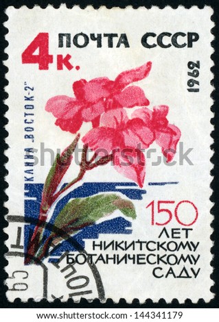 RUSSIA - CIRCA 1962: post stamp printed in USSR (CCCP, soviet union) shows image of flower canna lily from nikitsky botanical gardens series, 150th anniversary, Scott catalog 2643 A1349 4k, circa 1962