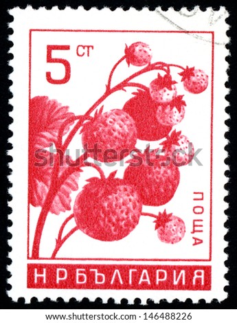 BULGARIA - CIRCA 1965: post stamp printed in Bulgaria shows image of strawberries from fruit series, Scott catalog 1442 A629 5s red, circa 1965