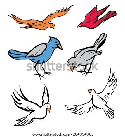 Various colorful birds doing different bird actions.