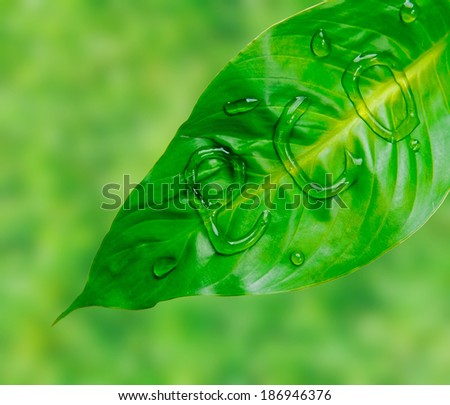 Word eco is written on green leaf by water drops, concept of save of environment