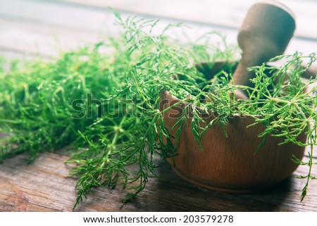 Herb equisetum in mortar with pestle on wooden background, medicinal herb