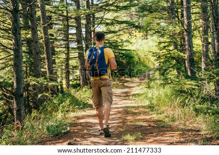 Hiker man with backpack going on path in summer forest, rear view