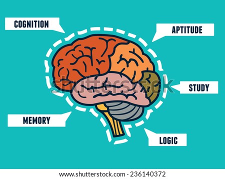 Capabilities of the human brain. Mind map and infocharts - vector illustration