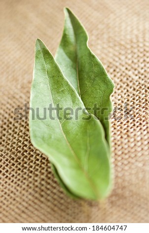 dry laurel leaves (Laurus nobilis) on jute background