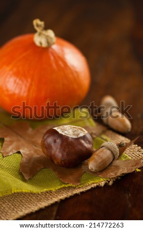 large chestnut, oak nuts and oak leaf on green and beige jutes with hokkaido pumpkin in background
