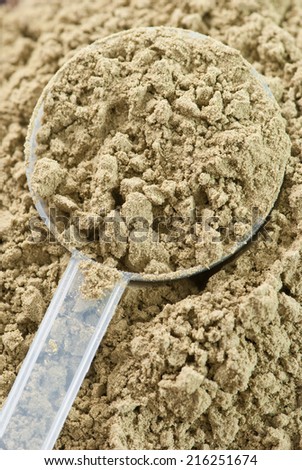 close up of plastic measuring scoop filled with raw organic hemp protein powder