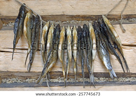 Salted roach fish hanged on log wall for drying .