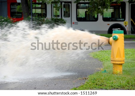 openned fire hydrant with sewage water