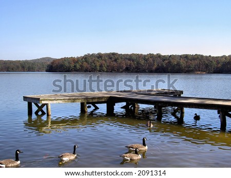 A small boat dock on a lake with ducks.