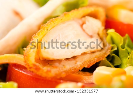 Fried white meat close up. Selective focus on the piece of chicken white meat