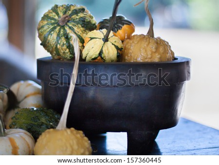 horizontal orientation close up of a variety of colorful gourds in a dark, vintage, wooden bowl with blurred background and copy space / Harvest Gourds provide Seasonal Color